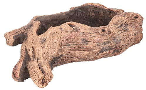 Cabilock Maceta para Suculentas De Madera Tallada Maceta Forma De Raíz para Interior Adorno De Escritorio para Decoración De