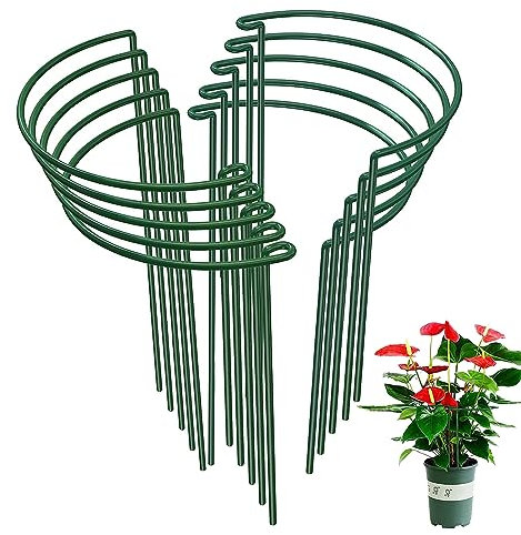 Premium 10er-Pack halbrunde Metall-Pflanzenstütze – 35,6 x 20,3 cm – robuste Pflanzenstütze für Pfingstrosen, Hortensien und mehr – stabile, rostfreie Pflanzenstäbe für Innen- und Außenpflanzen