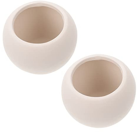 BESPORTBLE 2 Piezas Macetas De Pintadas Maceta Pequeña De para Colorear Material De Bricolaje para Decorar Interiores para DIY