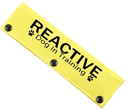 Reactive Dog Leash Sleeve - Service Dog Leash Wrap