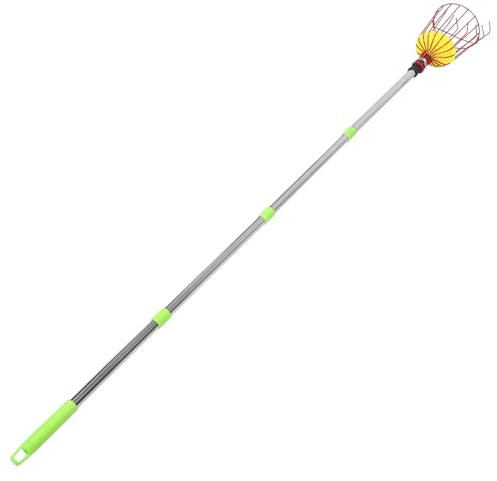 POPETPOP Verstellbares Obstpflücker-Werkzeug Mit Korb 4-teilig Länge Für Pfirsiche Blaubeeren Und Beeren