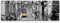 Paul Sinus Art Leinwandbilder | Bilder Leinwand 150x50cm Berühmte gelbe Straßenbahn in Lissabon