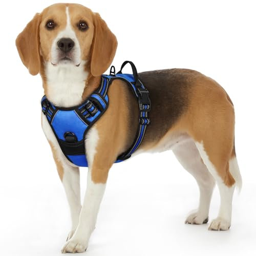 Eagloo Hundegeschirr Kleine Hunde, Anti Zug Hundegeschirr mit Reflexstreifen und Kontrolle, Verstellbar, Einstellbar und Langlebige Brustgeschirr Hund, Geeignet zum Gehen und Joggen, Blau, S