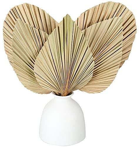 Nuanchu Natural Dried Palm Leaves 12 Spears Bulk Boho Fan with Stem