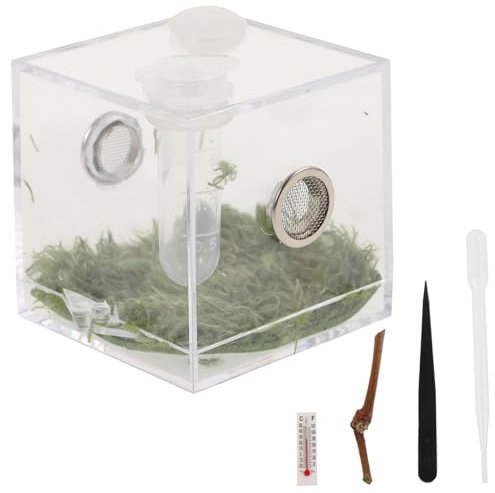 Toddmomy Insektenbox Aus Transparente Spinnengehegebox Futterkasten Für Reptilien Kleine Insektenfütterungsbox Terrariumzubehör Für Springspinnen Und Andere Kleine Tiere