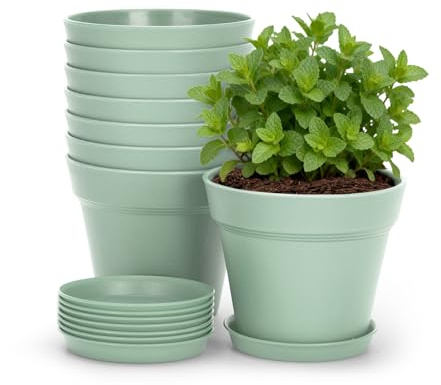 KINGLAKE 8 Pcs Small Plant Pots Indoor, 10cm Green Plastic Plant Seedling Pots with Drainage Holes and Trays, Modern Decorative Flower Pot for Herb Succulents Small House Plants Desk Windowsills