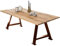 Dynamic24 Tisch 180x100 Wildeiche Metall Esstisch Speisetisch Küchentisch Esszimmer Küche
