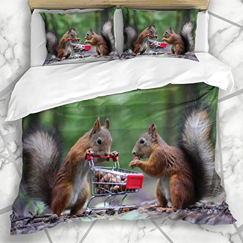 HARXISE Bettwäsche - Bettwäscheset Flaumige Paar-Eichhörnchen Essen Nuss-kleines Warenkorb-Natur-Lebensmittel-Park-wildes hölzernes Design Mikrofaser weich dreiteilig135*200