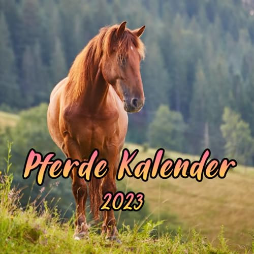 Pferde Kalender 2023: Tierkalender mit Postkarten - zum Aufstellen und Aufhängen - mit Monatskalendarium - 27 SEITEN ,21.59 x 21.59 cm