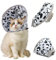 Collare Elisabettiano Gatto Imbuto per Cani Taglia Collare Cane Taglia Piccola Soft cone for Dog Regolabile Morbido Collare Cane per Recupero Postoperatorio Dell'Animale (grigio, M)