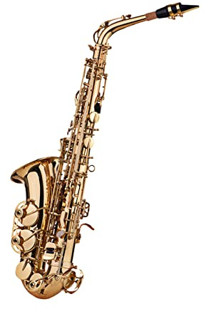 Naroote Altsaxophon Eb Silber Vernickeltes Holzblasinstrument mit Rohrblättern Zur Begleitung Im Jazz