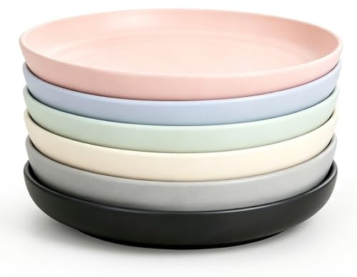LUPATDY 6er Teller Set 23cm, Leichte Kunststoffplatten Groß, Unzerbrechlich Wiederverwendbar Plastikbesteck, Plates für Party, Picknick, Camping, Geschirrspüler & Mikrowelle