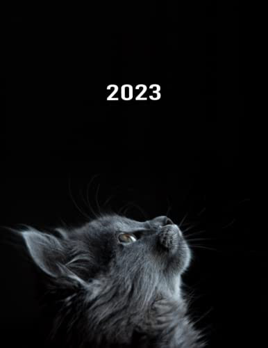 2023: Kalender XXL 2023 I A4 I 1 Seite / Tag mit Zeiteinteilung I 400 Seiten I Katze