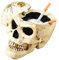 Whbbbj Totenkopf-Aschenbecher, Piraten-Schädel-Aschenbecher, Harz-Retro-Aschenbecher, personalisierter Piraten-Aschenbecher, Totenkopf-Aschenbecher mit Deckel, Halloween-Dekor-Figur