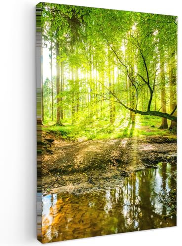 MuchoWow© Leinwandbild 60x90 cm Dekoration Wohnzimmer Bilder Aufhängen Wall Decoration Living Room Wohnungs Deko Moderne Wandbilder Bild Wald - Landschaft - Wasser - Bäume - Grün - Natur