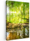 MuchoWow© Leinwandbild 60x90 cm Dekoration Wohnzimmer Bilder Aufhängen Wall Decoration Living Room Wohnungs Deko Moderne Wandbilder Bild Wald - Landschaft - Wasser - Bäume - Grün - Natur