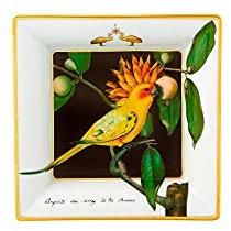 Vista Alegre Amazonia Bandeja cuadrada pequeña de porcelana