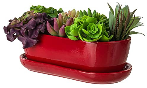 botle Pot de fleurs en céramique - Bol de cactus - Dessous de verre - Trou d'eau - Cactus - Bonsaï - Ovale - Rouge