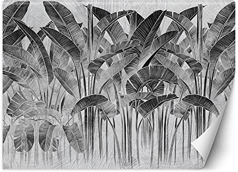 Feeby Papier Peint Intisse Tropical Feuillage Nature 300x210 cm noir et blanc Moderne Panoramique XXL Photo Mural Muraux Chambre Bureau Salle Plantes Exotiques