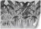Feeby Papier Peint Intisse Tropical Feuillage Nature 300x210 cm noir et blanc Moderne Panoramique XXL Photo Mural Muraux Chambre Bureau Salle Plantes Exotiques