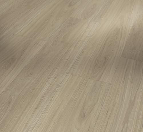 Parador Designboden Vinyl Basic 5.3 Eiche Oxford geschliffen Seidenmatte Struktur Landhausdiele 4-seitige Fase