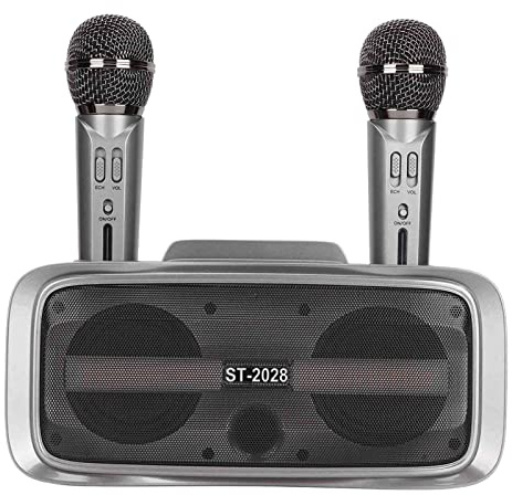 Yunseity KTV Karaoke -Lautsprecher Familie KTV -System mit 2 Mikrofonen, Vielseitiger Verstärker Sprecher für Lehren und Party, ABS Silber Schwarz