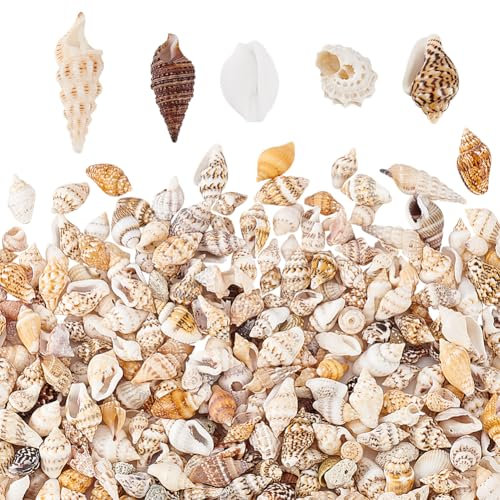 PandaHall 1300-1500Pcs Tiny Sea Shell Ocean Beach Spirale Muscheln Craft Charms 7-12mm Muscheln für Kerzenherstellung, Dekoration, Strand-Thema-Party-Hochzeitsdekor Aquarium Vase Filler, Kein Loch