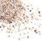 PandaHall 1300-1500Pcs Tiny Sea Shell Ocean Beach Spirale Muscheln Craft Charms 7-12mm Muscheln für Kerzenherstellung, Dekoration, Strand-Thema-Party-Hochzeitsdekor Aquarium Vase Filler, Kein Loch