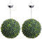 Primrose Pair of 28cm LED Artificial Buxus Topiary Balls Globe Bush