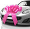 MIFFLIN – Große Autoschleife – Satinrosa, 76 cm – Geschenkschleife in Schmetterlingsform – Riesenschleife fürs Auto – Geburtstagsschleife – Riesige Autoschleife – Autoschleifen