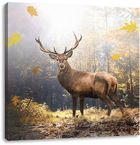 Pixxprint Hirsch im Wald mit fallenden Blättern, Größe: 60x60 cm, Leinwandbild Quadratisch, Wandbild, Kunstdruck, fertig bespannt