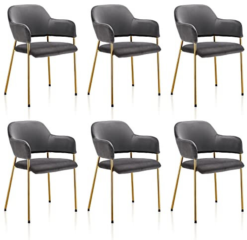 TUKAILAI Esszimmerstuhl 6er Set, gepolsterter Samt Küchenstuhl mit goldenen Metallbeinen, Armlehnen und Rückenlehne, Esszimmer, Wohnzimmer, Schlafzimmer, Tagungsraum, grau