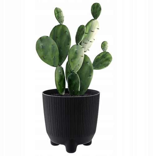 B2C Plant Pots Indoor Outdoor Plastic Flowerpot Small Medium Large RYFO 6 Colours (Anthracite, 20cm)