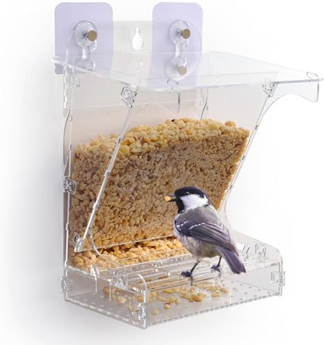 Vogelfutterhaus für Fenster oder Balkon - Wetterfest mit Auffangschale - Rattensicher - perfekte Vogelfutterspender für Wildvögel - Acryl Bausatz - BIRDYBIRD