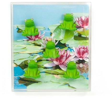 Kraftheld | 5er Set Deko-Magnete Frog | Frosch-Magnete, Glücksbringer | bunt, dekorativ, farbenfroh | Kühlschrankmagnete in Form von Tieren | Magnet-Deko als Geschenk