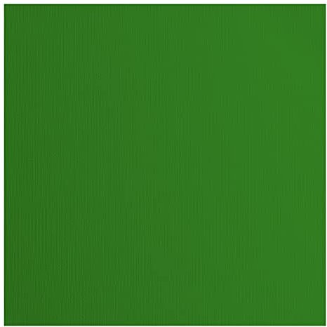 Vaessen Creative Florence Cardstock Papier, Grün, 216 Gramm/m², Quadratisch, 30,5 x 30,5 cm, 20 Stück, Textur, für Scrapbooking, Kartenherstellung, Stanzen und andere Papierbasteleien