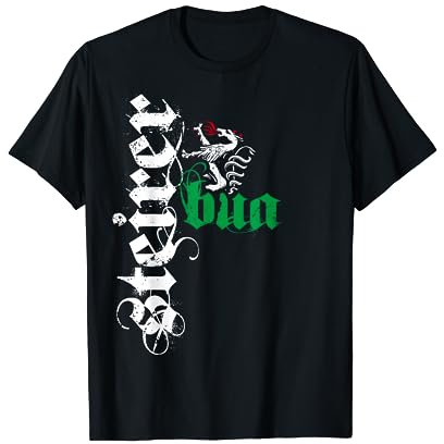 Steirerbua Steirer Bua Steiermark Wappen Steirabua Cool T-Shirt