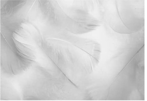 WallArena - Vlies Fototapete Weiße Federn 152x104 cm - Fototapeten - Tapeten - für Wohnzimmer Schlafzimmer - Vliestapete Wandtapete Tapete 3D Effekt- inkl. Kleister - Elegant