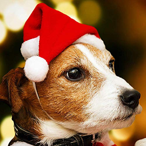 PULABO dauerhaft1Pc Pet Weihnachtsmütze Hund Cute Santa Weihnachten Xmas Red Holiday Costume Kleine Mütze Top-Qualität