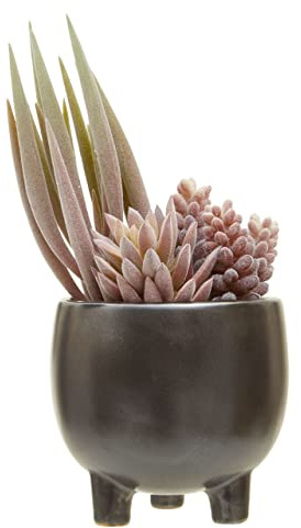 Premier Housewares Mixed Succulents In Ceramic Pot/Artificial Succulent Plants For House Decor/Succulent Plant Dimensions W14 x D14 x H25cm