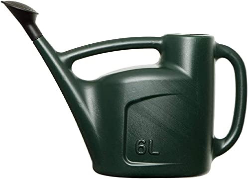 Karrma Ltd. 6L Green Plastic Watering Can - Lightweight & Durable with Detachable Sprinkler Rose Head