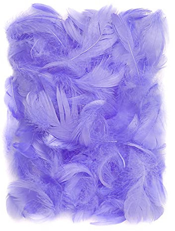 Netuno 150 Stück Deko Federn Violett 10g Flaumfedern Schmuckfedern farbig Bastelfedern Natur für DIY Basteln Dekoration Ostern Weihnachten Vogelfedern bunt zum Basteln Dekorieren