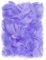Netuno 150 Stück Deko Federn Violett 10g Flaumfedern Schmuckfedern farbig Bastelfedern Natur für DIY Basteln Dekoration Ostern Weihnachten Vogelfedern bunt zum Basteln Dekorieren