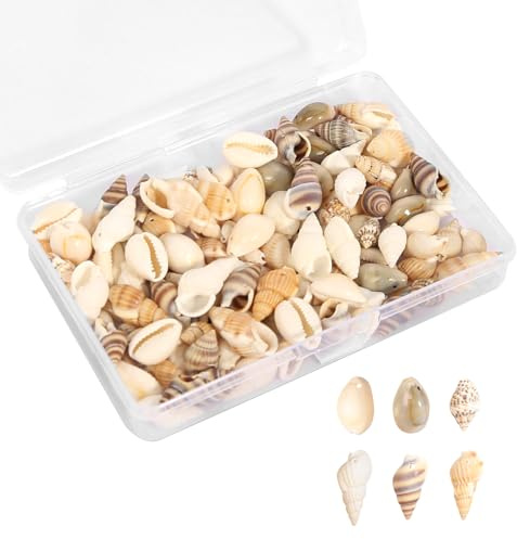 Muscheln Deko, 120 Stück Gemischte Muscheln Deko mit Loch, 6 Stile Natürliche Muschel Perlen DIY Muscheln zum Basteln für Schmuck Machen Deco Handwerk 12-15mm