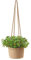 Corde Coton Accrochée Pot Fleur Pots Plantes Jonc Mer Naturel Jardinière Plafond Panier Jardinière Suspendu Corde Porte Plante Tissé à La Main Panier Plantes Corde Coton Tissé 14cm (Couleur unie)