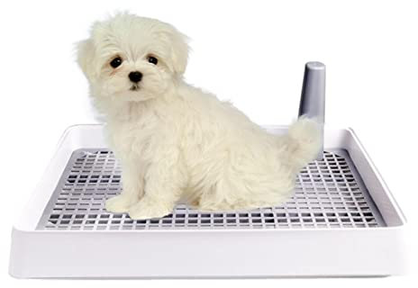 FASSME Inodoro para orinal para perros, entrenamiento para perros interior y mascotas, soporte para almohadillas orinales para perros pequeños y medianos