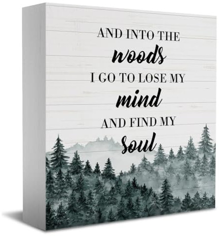 Lustiges Camping-Geschenk, Dekoration, Schreibtisch-Dekoration, Holzkistenschild, Camping-Zubehör, Dekoration, Wald, Holzblock, Plakette, Schild für Zuhause, Regal, Tischdekoration, Into The Woods I