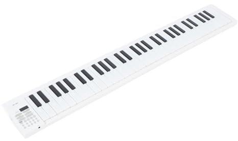 61 Key Portable Keyboard Piano, Foldable Electric Piano with Full Size Keys, Recording, Playback, Foldable, Portable, for Beginners, LED Lights