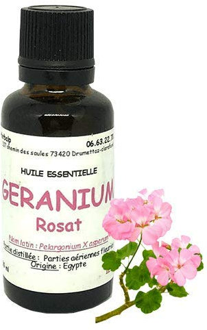 Huile essentielle de Géranium rosat (30 ml) Pelargonium x asperum