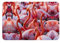 Berrihort Paillasson imprimé flamant rose, tapis d'entrée/garage, tapis d'entrée de patio / paillasson de bienvenue extérieur et intérieur